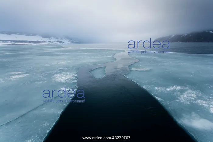 : Norway, Svalbard, Nordaustlandet, Lead through : Norway, Svalbard, Nordaustlandet, Lead through