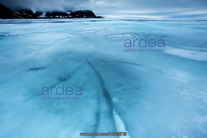 : Norway, Svalbard, Nordaustlandet, Melting : Norway, Svalbard, Nordaustlandet, Melting