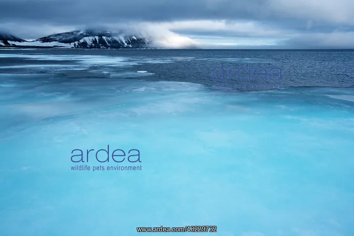 : Norway, Svalbard, Nordaustlandet, Melting : Norway, Svalbard, Nordaustlandet, Melting