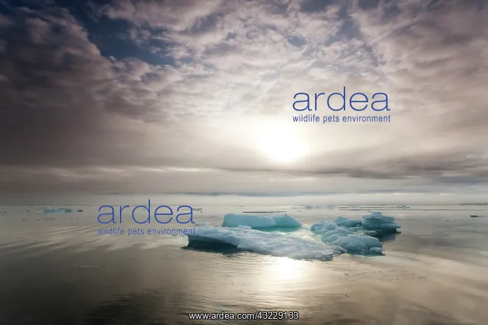 : Norway, Svalbard, Nordaustlandet, Morning : Norway, Svalbard, Nordaustlandet, Morning