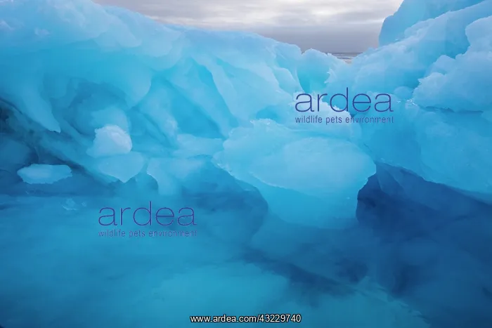: Norway, Svalbard, Nordaustlandet, Morning : Norway, Svalbard, Nordaustlandet, Morning