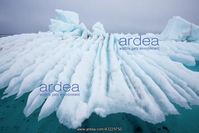 : Norway, Svalbard, Nordaustlandet, Patterns : Norway, Svalbard, Nordaustlandet, Patterns