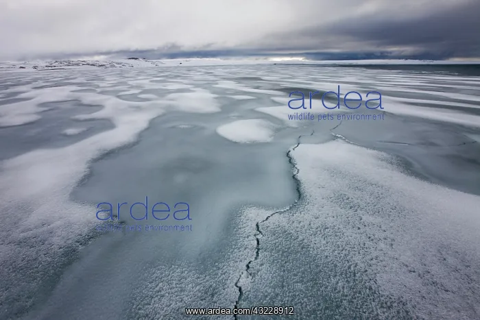  : Norway, Svalbard, Nordaustlandet, Sea ice