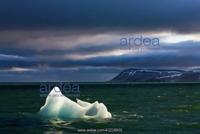 : Norway, Svalbard, Nordaustlandet, Setting : Norway, Svalbard, Nordaustlandet, Setting