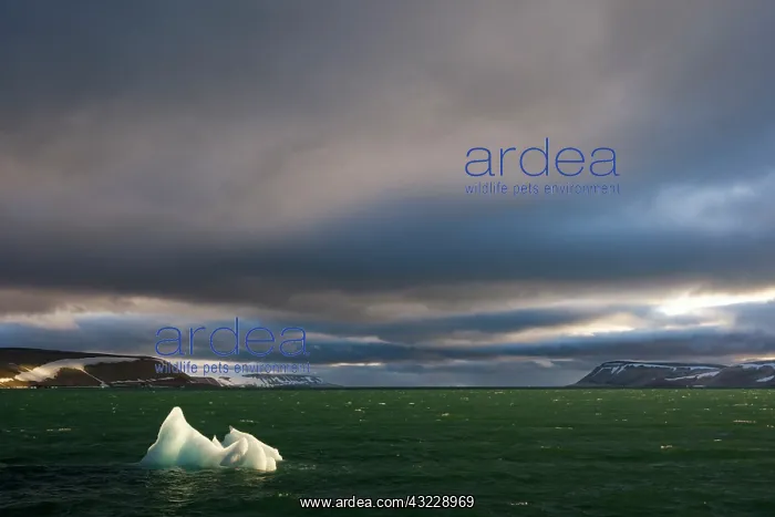 : Norway, Svalbard, Nordaustlandet, Setting : Norway, Svalbard, Nordaustlandet, Setting