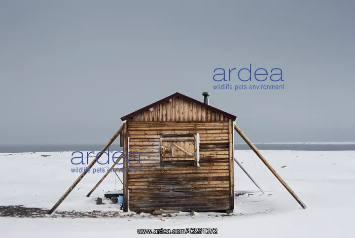 : Norway, Svalbard, Nordaustlandet, Wooden : Norway, Svalbard, Nordaustlandet, Wooden