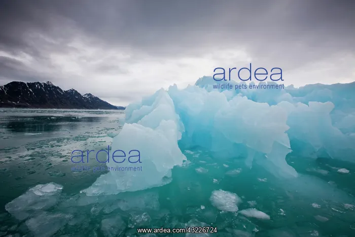 : Norway, Svalbard, Spitsbergen, Deep blue : Norway, Svalbard, Spitsbergen, Deep blue
