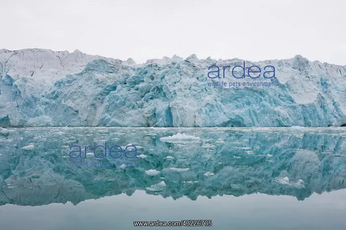 : Norway, Svalbard, Spitsbergen, Ice face : Norway, Svalbard, Spitsbergen, Ice face