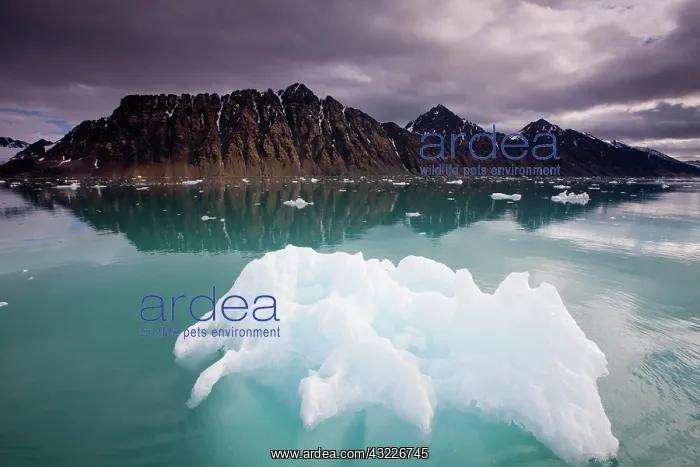 : Norway, Svalbard, Spitsbergen, Iceberg floating : Norway, Svalbard, Spitsbergen, Iceberg floating