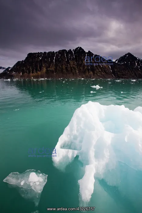 : Norway, Svalbard, Spitsbergen, Iceberg floating : Norway, Svalbard, Spitsbergen, Iceberg floating