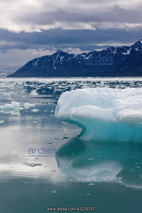 : Norway, Svalbard, Spitsbergen, Icebergs : Norway, Svalbard, Spitsbergen, Icebergs