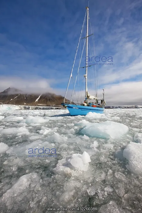 : Norway, Svalbard, Spitsbergen Island, The : Norway, Svalbard, Spitsbergen Island, The