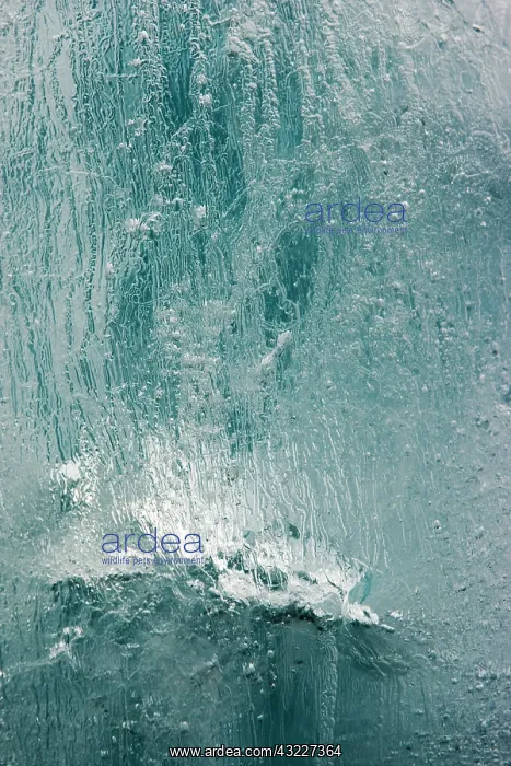 : Norway, Svalbard, Spitsbergen Island, Detail : Norway, Svalbard, Spitsbergen Island, Detail