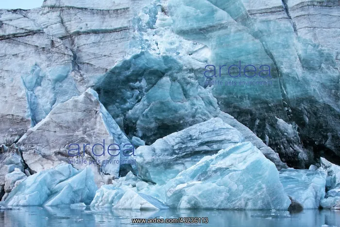  : Norway, Svalbard, Spitsbergen Island, Broken