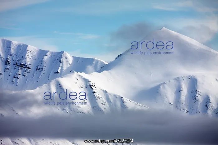 : Norway, Svalbard, Spitsbergen Island, Clearing : Norway, Svalbard, Spitsbergen Island, Clearing