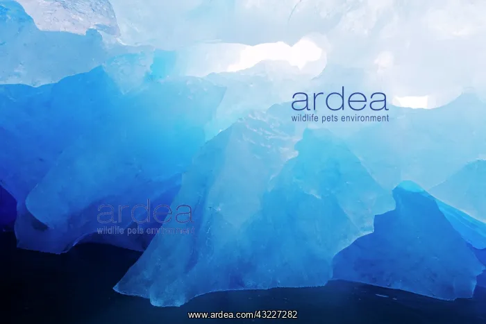  : Norway, Svalbard, Spitsbergen Island, Deep