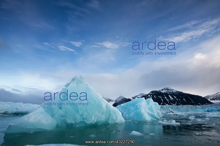 : Norway, Svalbard, Spitsbergen Island, Deep : Norway, Svalbard, Spitsbergen Island, Deep