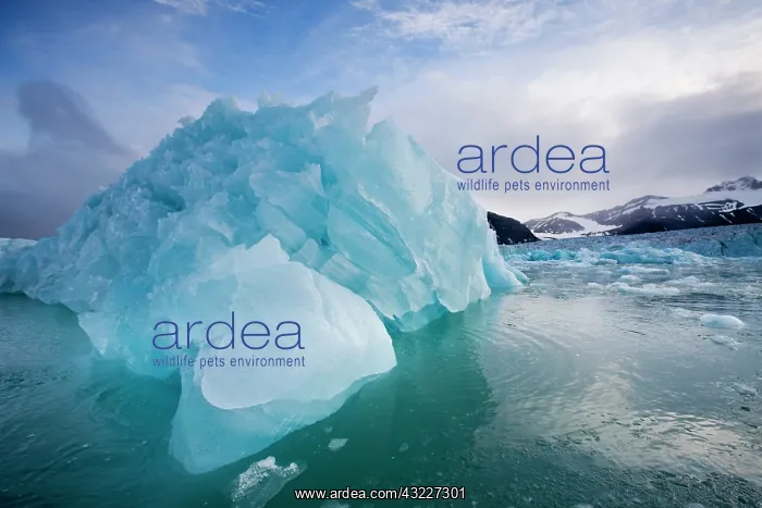 : Norway, Svalbard, Spitsbergen Island, Deep : Norway, Svalbard, Spitsbergen Island, Deep