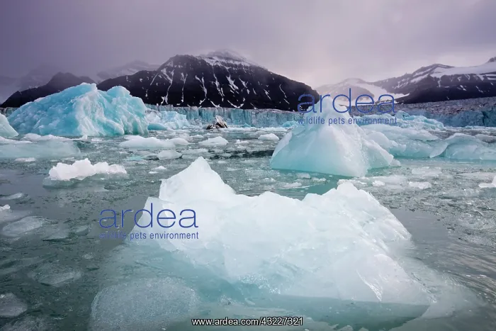  : Norway, Svalbard, Spitsbergen Island, Deep