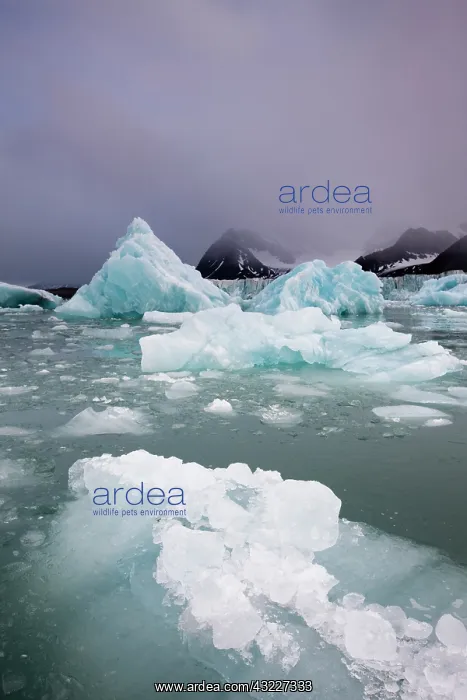 : Norway, Svalbard, Spitsbergen Island, Deep : Norway, Svalbard, Spitsbergen Island, Deep