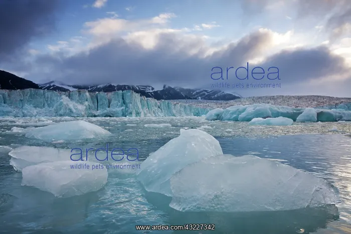 : Norway, Svalbard, Spitsbergen Island, Deep : Norway, Svalbard, Spitsbergen Island, Deep