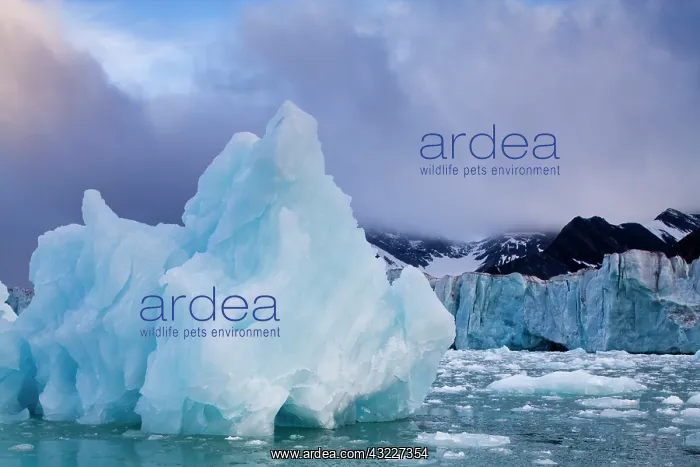 : Norway, Svalbard, Spitsbergen Island, Deep : Norway, Svalbard, Spitsbergen Island, Deep