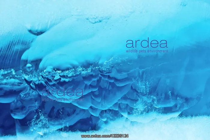 : Norway, Svalbard, Spitsbergen Island, Deep : Norway, Svalbard, Spitsbergen Island, Deep