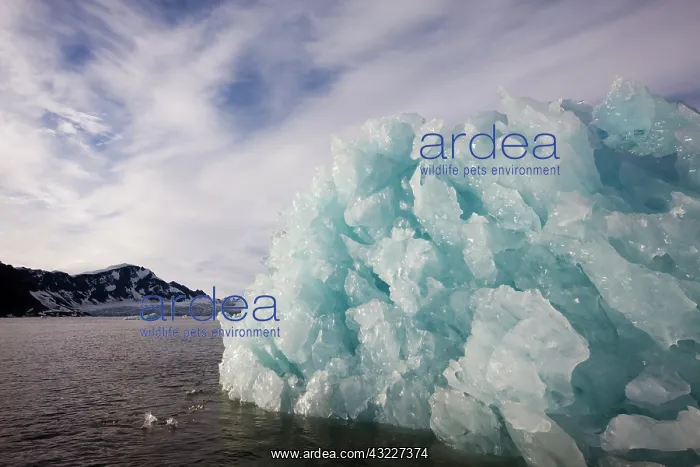 : Norway, Svalbard, Spitsbergen Island, Glacier : Norway, Svalbard, Spitsbergen Island, Glacier