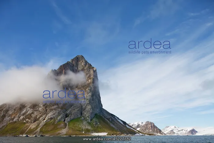 : Norway, Svalbard, Spitsbergen Island, Gnal : Norway, Svalbard, Spitsbergen Island, Gnal