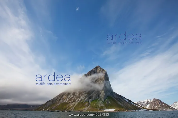 : Norway, Svalbard, Spitsbergen Island, Gnal : Norway, Svalbard, Spitsbergen Island, Gnal