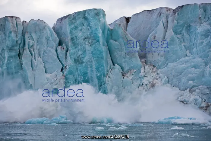: Norway, Svalbard, Spitsbergen Island, Icebergs : Norway, Svalbard, Spitsbergen Island, Icebergs
