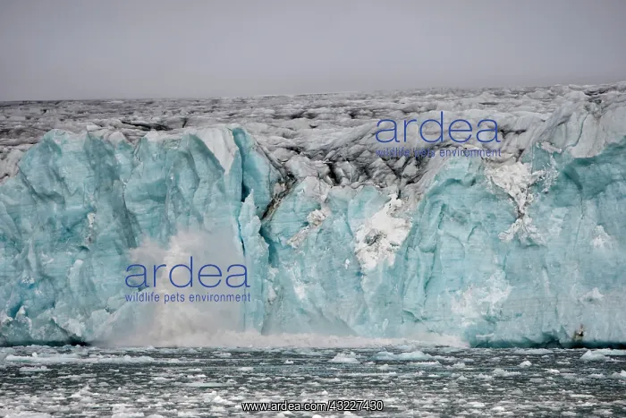 : Norway, Svalbard, Spitsbergen Island, Icebergs : Norway, Svalbard, Spitsbergen Island, Icebergs