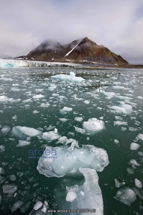 : Norway, Svalbard, Spitsbergen Island, Icebergs : Norway, Svalbard, Spitsbergen Island, Icebergs