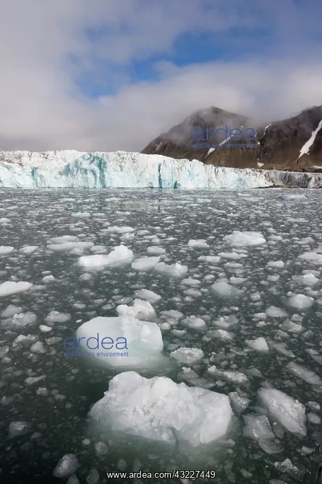 : Norway, Svalbard, Spitsbergen Island, Icebergs : Norway, Svalbard, Spitsbergen Island, Icebergs