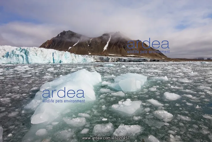 : Norway, Svalbard, Spitsbergen Island, Icebergs : Norway, Svalbard, Spitsbergen Island, Icebergs