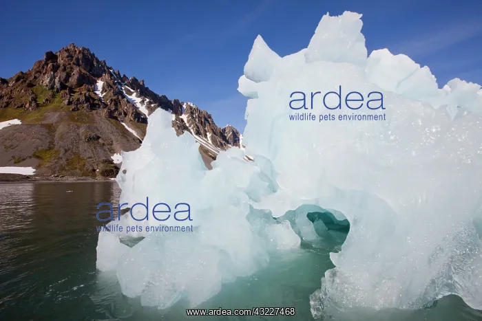 : Norway, Svalbard, Spitsbergen Island, Melting : Norway, Svalbard, Spitsbergen Island, Melting