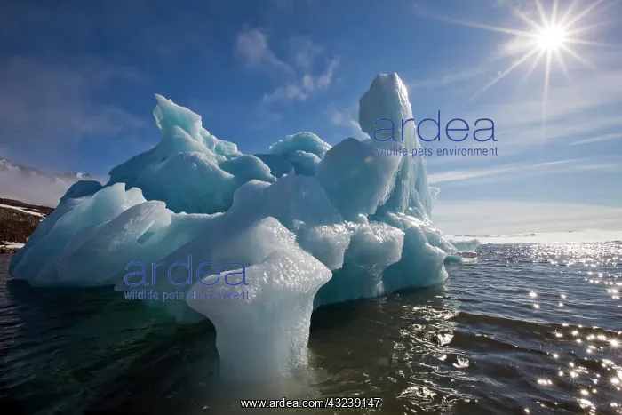  : Norway, Svalbard, Spitsbergen Island, Melting