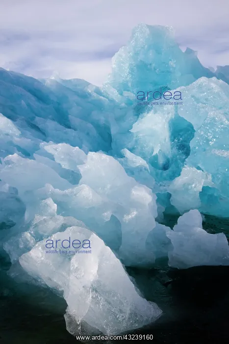 : Norway, Svalbard, Spitsbergen Island, Melting : Norway, Svalbard, Spitsbergen Island, Melting