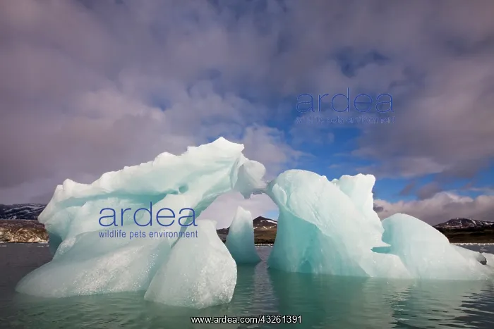: Norway, Svalbard, Spitsbergen Island, Morning : Norway, Svalbard, Spitsbergen Island, Morning