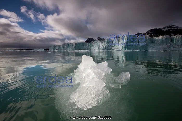 : Norway, Svalbard, Spitsbergen Island, Morning : Norway, Svalbard, Spitsbergen Island, Morning