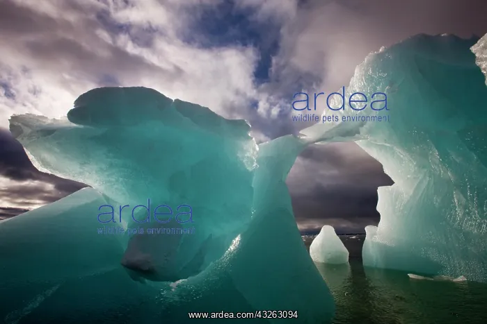 : Norway, Svalbard, Spitsbergen Island, Morning : Norway, Svalbard, Spitsbergen Island, Morning