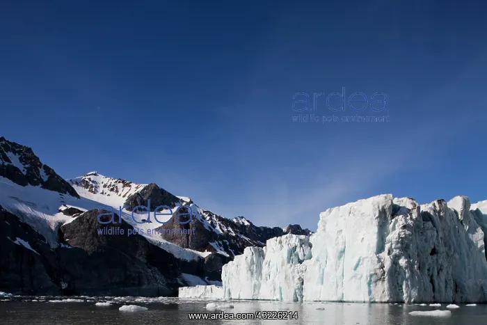 : Norway, Svalbard, Spitsbergen Island, Paierlbreen : Norway, Svalbard, Spitsbergen Island, Paierlbreen