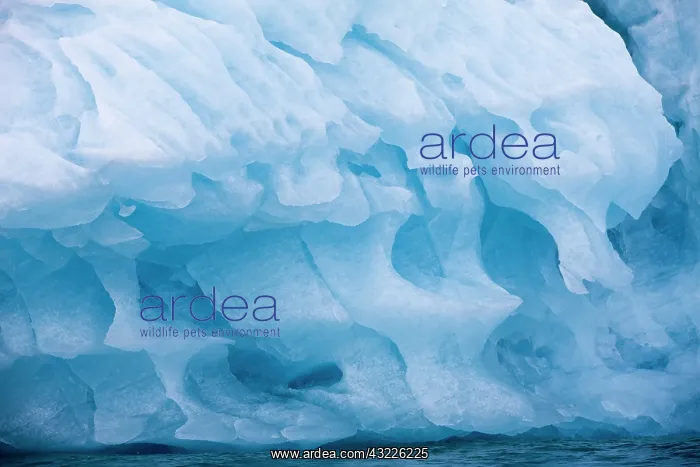 : Norway, Svalbard, Spitsbergen Island, Patterns : Norway, Svalbard, Spitsbergen Island, Patterns