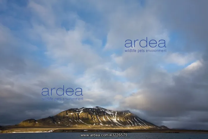 : Norway, Svalbard, Spitsbergen Island, Setting : Norway, Svalbard, Spitsbergen Island, Setting