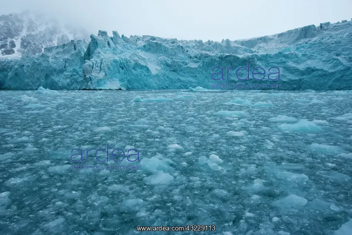 : Norway, Svalbard, Spitsbergen Island, Shattered : Norway, Svalbard, Spitsbergen Island, Shattered