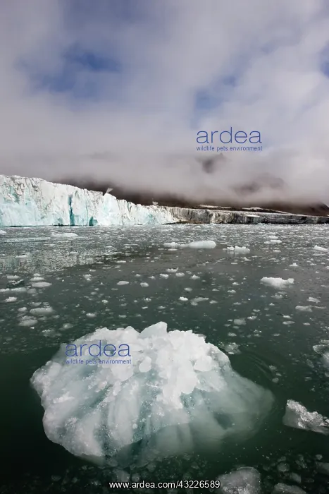 : Norway, Svalbard, Spitsbergen Island, Small : Norway, Svalbard, Spitsbergen Island, Small