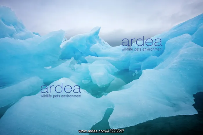 : Norway, Svalbard, Spitsbergen Island, Summer : Norway, Svalbard, Spitsbergen Island, Summer