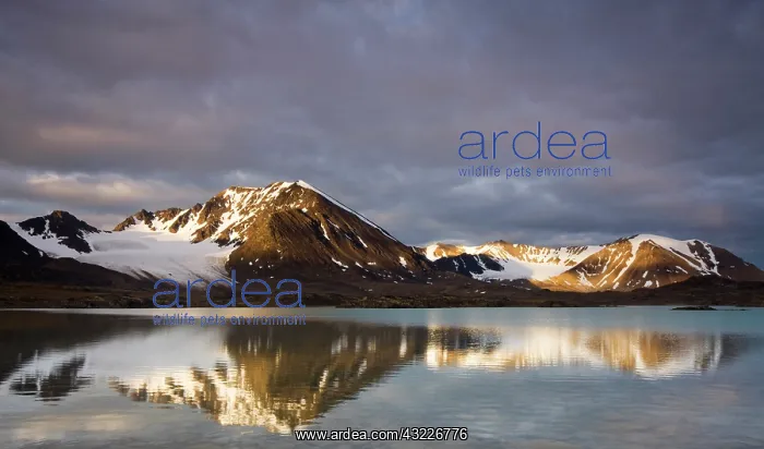 : Norway, Svalbard, Spitsbergen, Rising midnight : Norway, Svalbard, Spitsbergen, Rising midnight