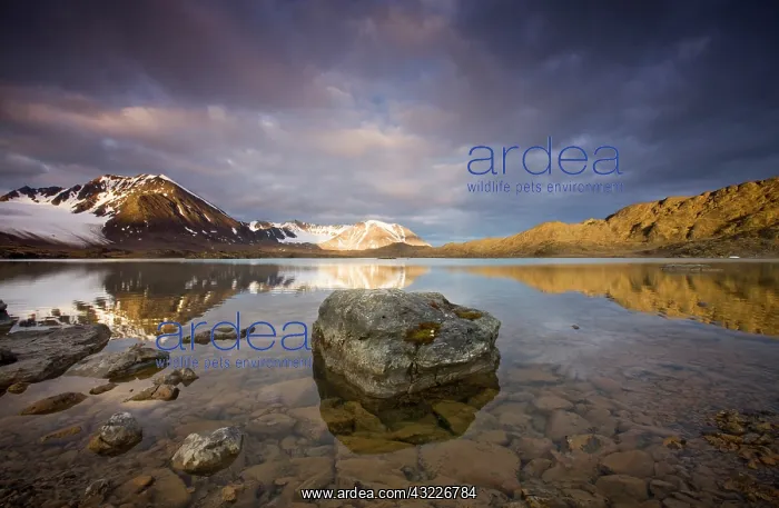 : Norway, Svalbard, Spitsbergen, Rising midnight : Norway, Svalbard, Spitsbergen, Rising midnight