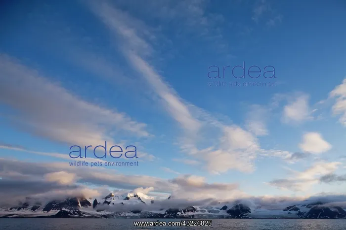 : Norway, Svalbard, Spitsbergen, Setting sun : Norway, Svalbard, Spitsbergen, Setting sun